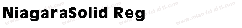 NiagaraSolid Reg字体转换